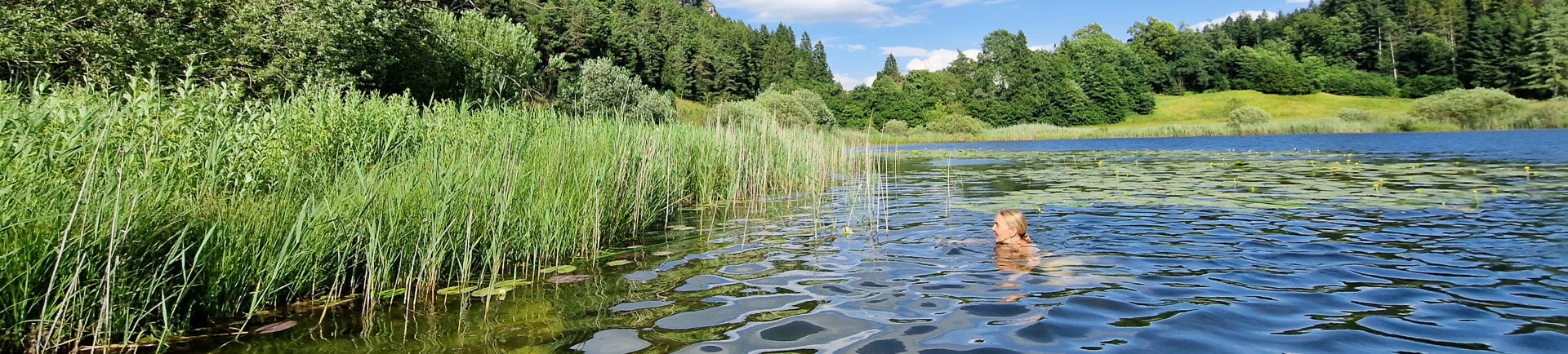 Ferrata Favogna - Fennberg - Dolomity na Ferratach - Przewodnik